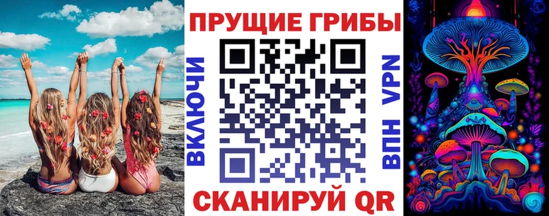 Псилоцибиновые грибы Magic Shrooms  Купить закладки  Салаир 